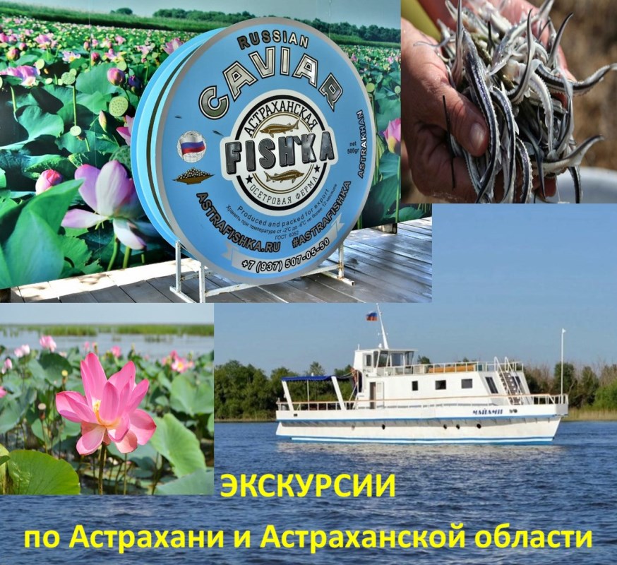 Экскурсии по Астрахани и Астраханской области